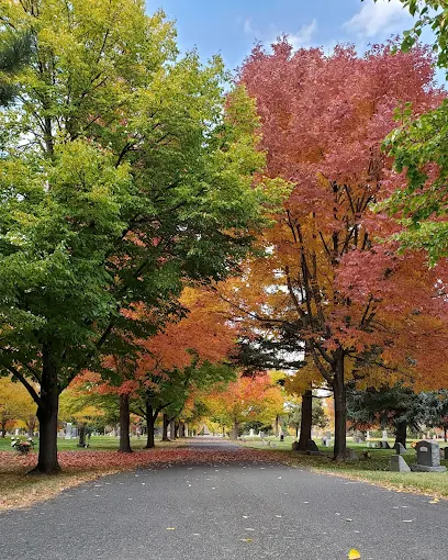 Tree-lined lane through Golden Hill Cemetery in autumn, with red and gold maple leaves above the grounds